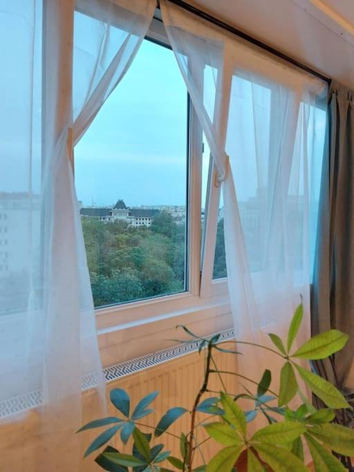 Sweet Dreams Suites Cismigiu Studio Bukarest Exteriör bild